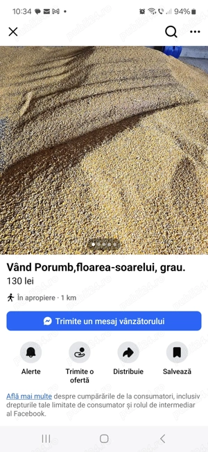 Porumb recolta 2025 . 