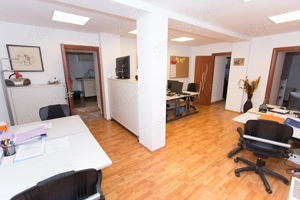 Spatiu de birou, demisol, vila, Parcul Carol  Unirii, cu gradina