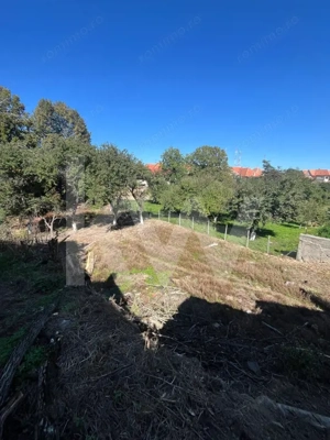 Casă  autentică cu potențial de investiție – Poiana Sibiului - imagine 13