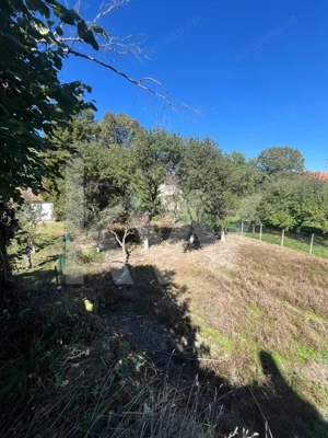 Casă  autentică cu potențial de investiție – Poiana Sibiului - imagine 15