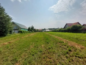 Teren Lilieci  - imagine 10