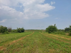 Teren Lilieci  - imagine 6