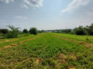 Teren Lilieci  - imagine 4