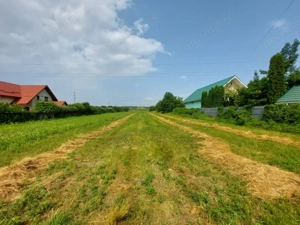 Teren Lilieci  - imagine 9