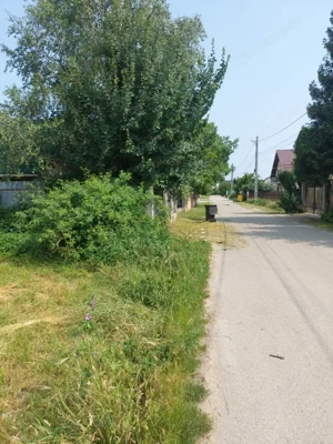 Teren Lilieci  - imagine 8