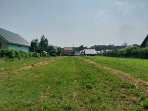 Teren Lilieci  - imagine 3