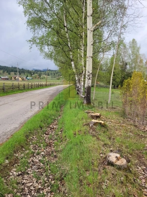 Teren Saru Dornei / Neagra Sarului - oportunitate investitie