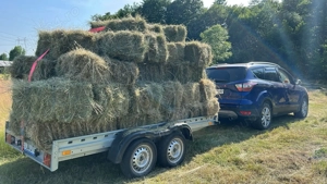 Inchiriere remorci gorj  - imagine 7