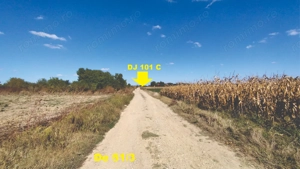 Vanzare teren 4400 mp Snagov - Gruiu, cu deschidere la lacul Snagov  - imagine 3