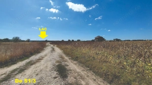 Vanzare teren 4400 mp Snagov - Gruiu, cu deschidere la lacul Snagov  - imagine 2