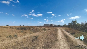 Vanzare teren 4400 mp Snagov - Gruiu, cu deschidere la lacul Snagov  - imagine 4