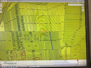 Teren arabil 20.000 mp in Sanandrei, la iesire spre Carani pe dreapta .
