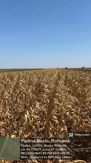 Teren de vanzare Padina, Buzau