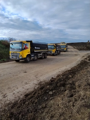 Angajam Soferi Profesionisti