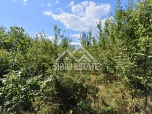 Teren  construibil ,la sosea, intre Vale si Sibiel, zona cu potential - imagine 10