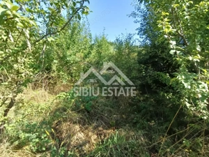 Teren  construibil ,la sosea, intre Vale si Sibiel, zona cu potential - imagine 9