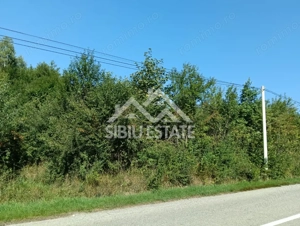 Teren  construibil ,la sosea, intre Vale si Sibiel, zona cu potential - imagine 11