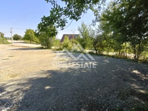 Teren  construibil ,la sosea, intre Vale si Sibiel, zona cu potential - imagine 13