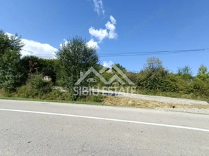 Teren  construibil ,la sosea, intre Vale si Sibiel, zona cu potential - imagine 4