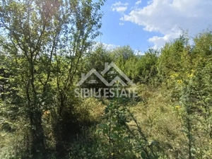 Teren  construibil ,la sosea, intre Vale si Sibiel, zona cu potential - imagine 8