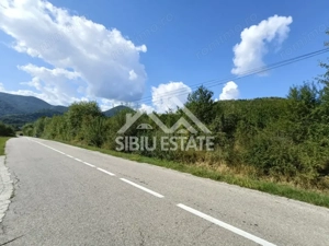 Teren  construibil ,la sosea, intre Vale si Sibiel, zona cu potential - imagine 12