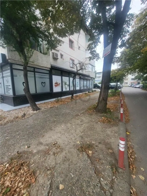 Spatiu Comercial 100mp Central Piata Moldovei-Finante - imagine 5