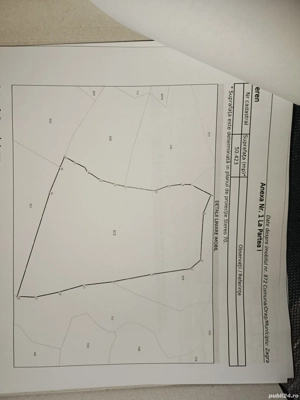 Vând padure + teren  - imagine 2 Vând padure + teren  - imagine 2