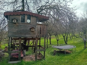 Casă de vânazare în Săndulești - imagine 8