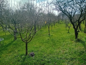 Casă de vânazare în Săndulești - imagine 9