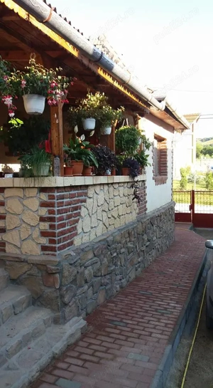 Casă de vânazare în Săndulești - imagine 2