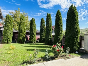 De vanzare doua case - imagine 4 De vanzare doua case - imagine 4