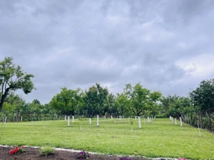 De vanzare doua case - imagine 3 De vanzare doua case - imagine 3