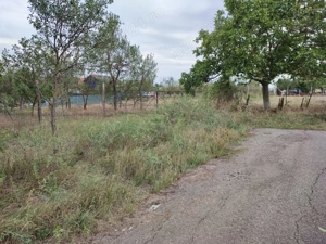 Teren intravilan Murani