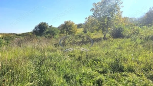 Teren intravilan cu front generos in cartierul Gruia - imagine 3