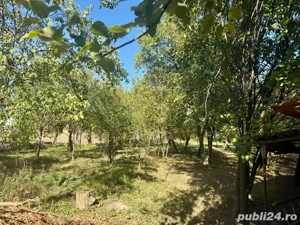 De vanzare casa in comuna TATARANI JUD Dambovita - imagine 3