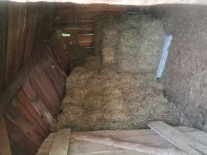 Vând baloti de otava 