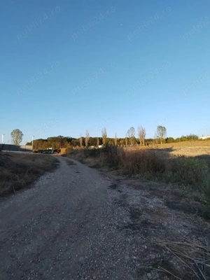 Ciolpani, spre Izvorani - COR, vanzare teren 5000mp. - imagine 2