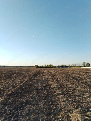 Ciolpani, spre Izvorani - COR, vanzare teren 5000mp. - imagine 11