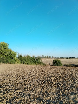 Ciolpani, spre Izvorani - COR, vanzare teren 5000mp. - imagine 10