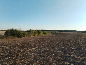 Ciolpani, spre Izvorani - COR, vanzare teren 5000mp. - imagine 14