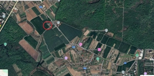 Ciolpani, spre Izvorani - COR, vanzare teren 5000mp. - imagine 4