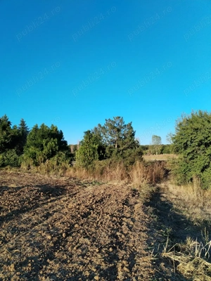 Ciolpani, spre Izvorani - COR, vanzare teren 5000mp. - imagine 15