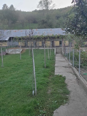 Gospodarie lângă Deva  - imagine 11