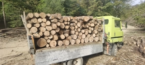 Lemn de foc esență tare 