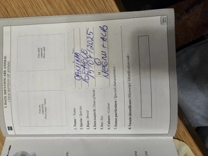 Beagle de Vanzare  - imagine 2