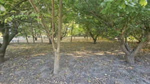 Teren intravilan în Călărașii-Vechi - imagine 3