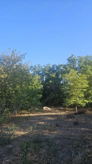 Teren intravilan în Călărașii-Vechi - imagine 4