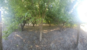 Teren intravilan în Călărașii-Vechi - imagine 2