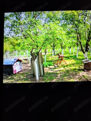 vind casa in Herneacova - imagine 5