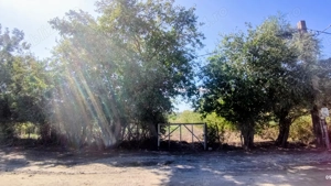 Teren excepțional ideal investiție  - imagine 5